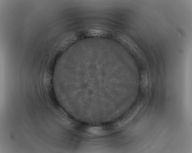 X0000114110653200910191703