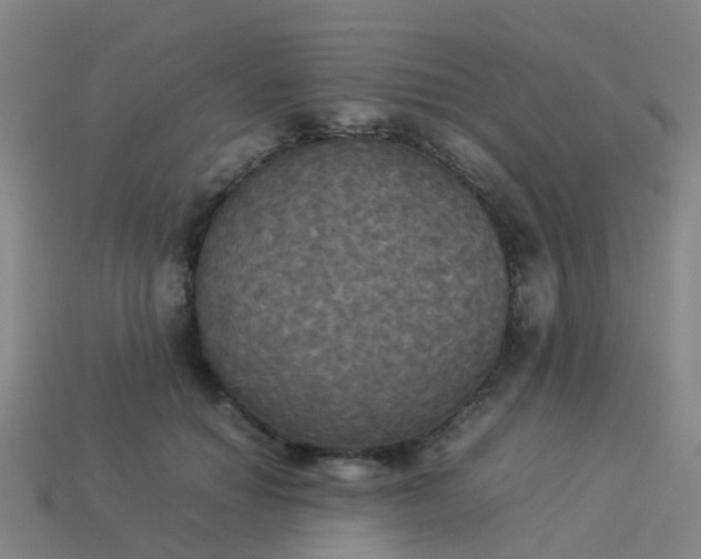 X0000114110654200910191703