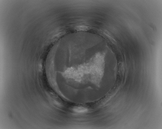 X0000114110655200910191703