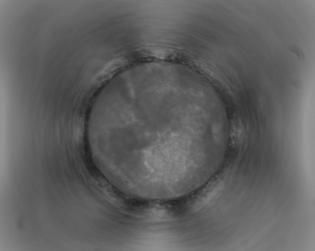 X0000114110656200910191703