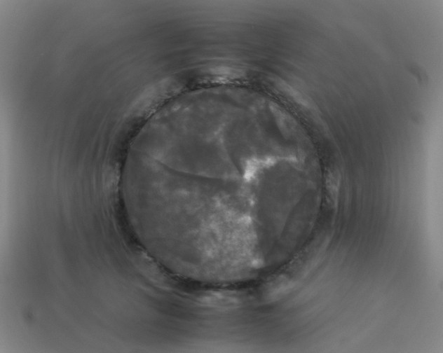 X0000114110657200910191703