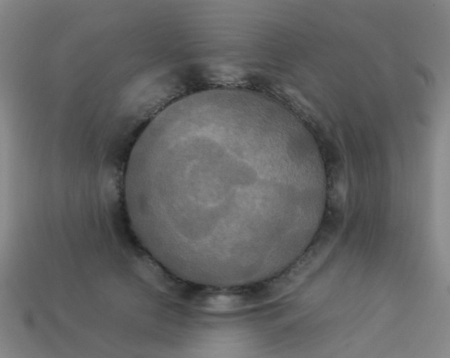 X0000114110658200910191703