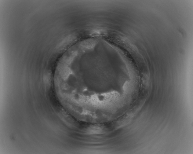 X0000114110659200910191703