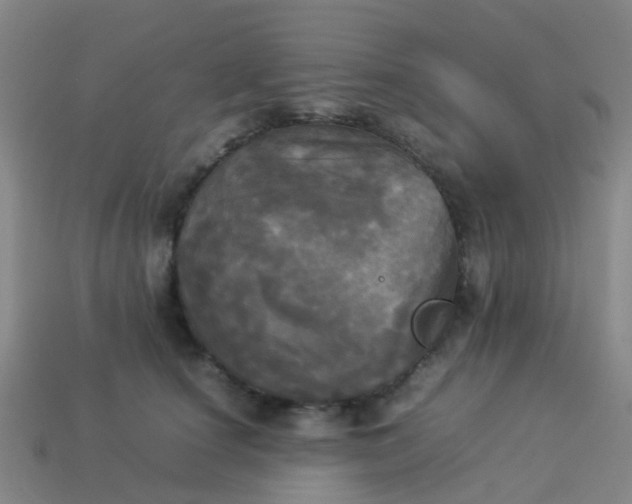 X0000114110660200910191703