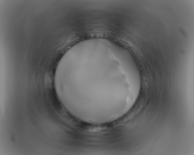 X0000114110661200910191703