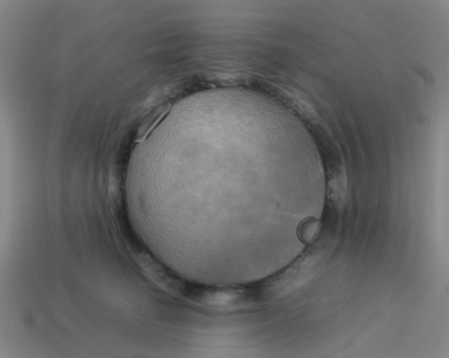 X0000114110662200910191703