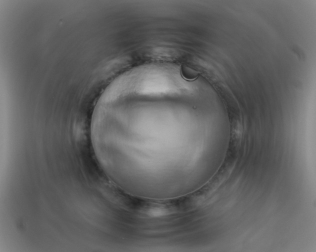 X0000114110663200910191703