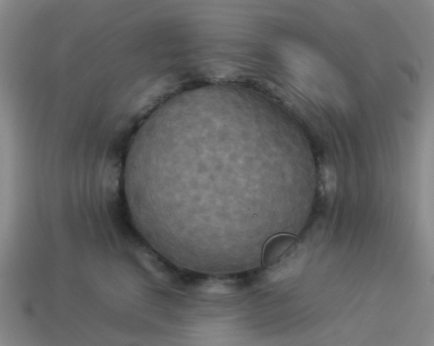 X0000114110664200910191703