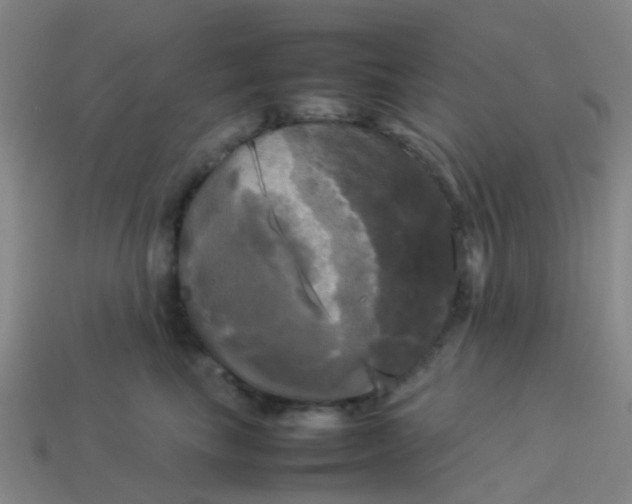 X0000114110665200910191703