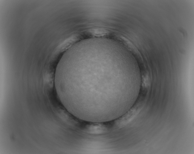 X0000114110666200910191703