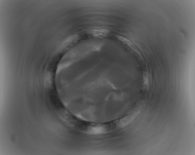 X0000114110667200910191703