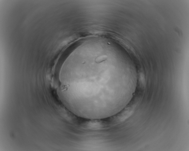 X0000114110668200910191703