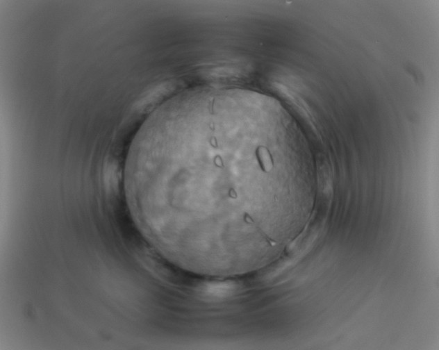 X0000114110669200910191703