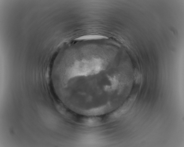 X0000114110670200910191703