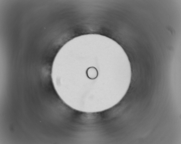 X0000114110672200910191704