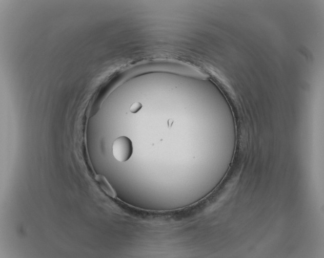 X0000114110673200910191703