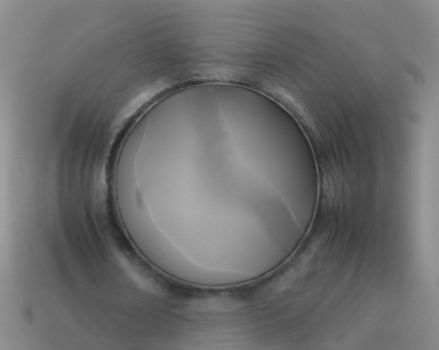 X0000114110674200910191703