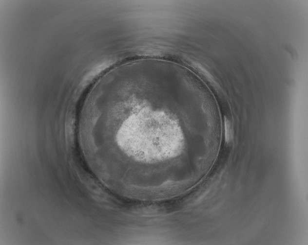 X0000114110675200910191703