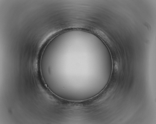 X0000114110676200910191703