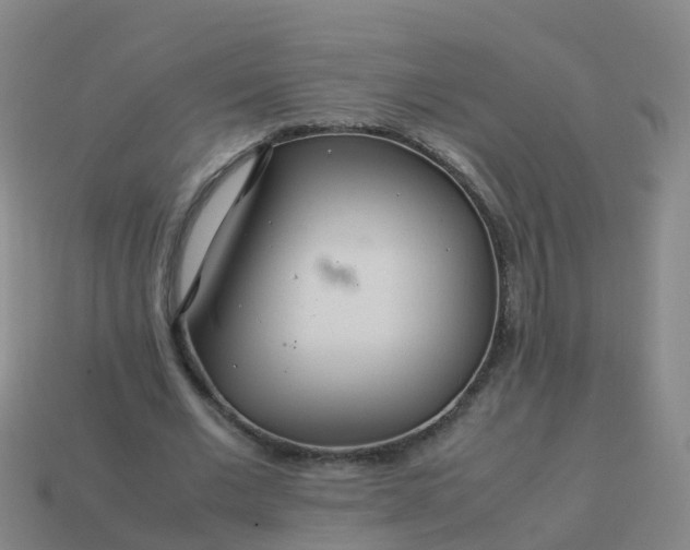 X0000114110677200910191703