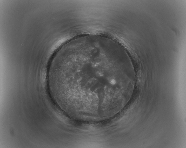 X0000114110679200910191703