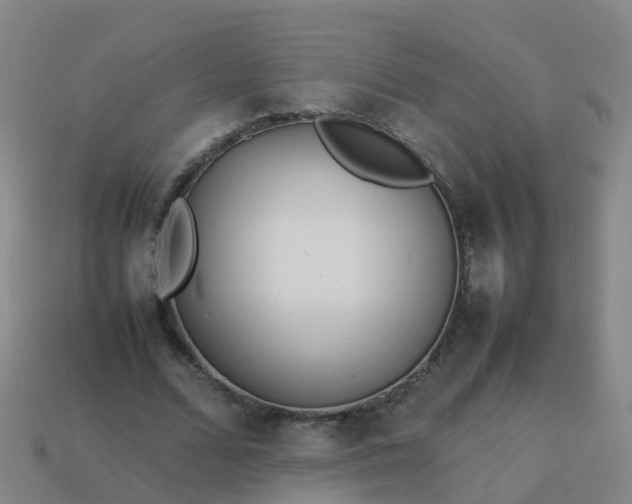 X0000114110680200910191703