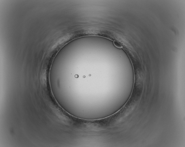 X0000114110681200910191703