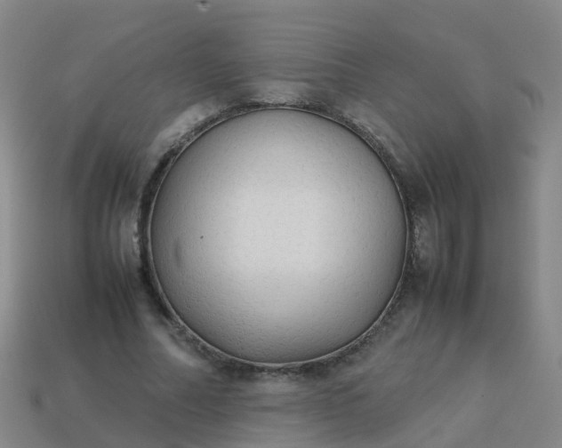 X0000114110682200910191703