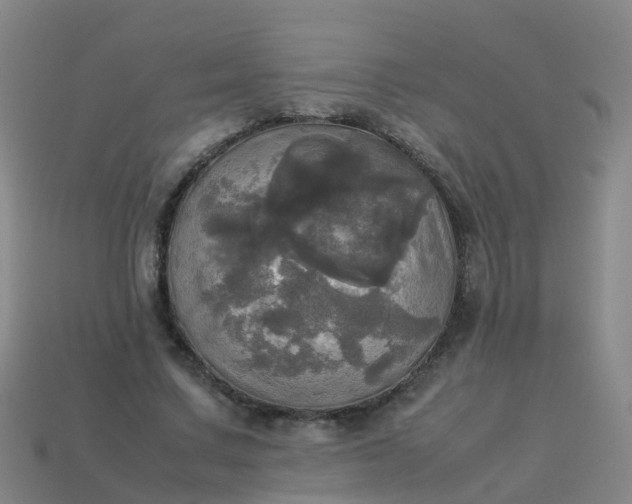 X0000114110683200910191703