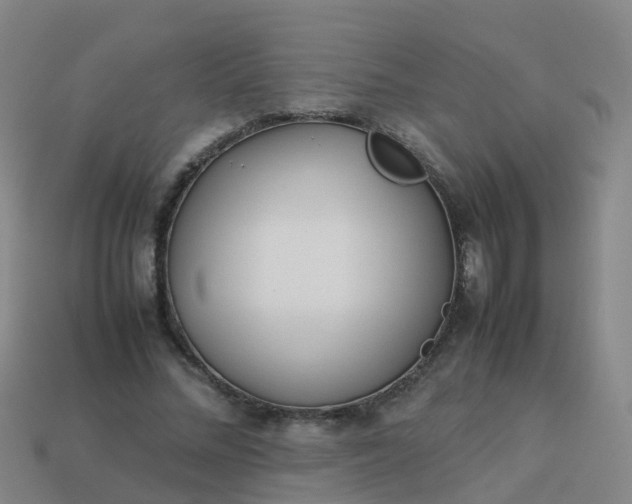 X0000114110684200910191703