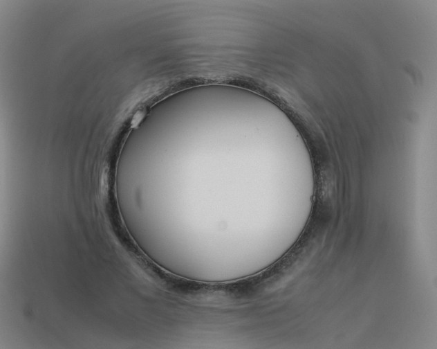 X0000114110685200910191703