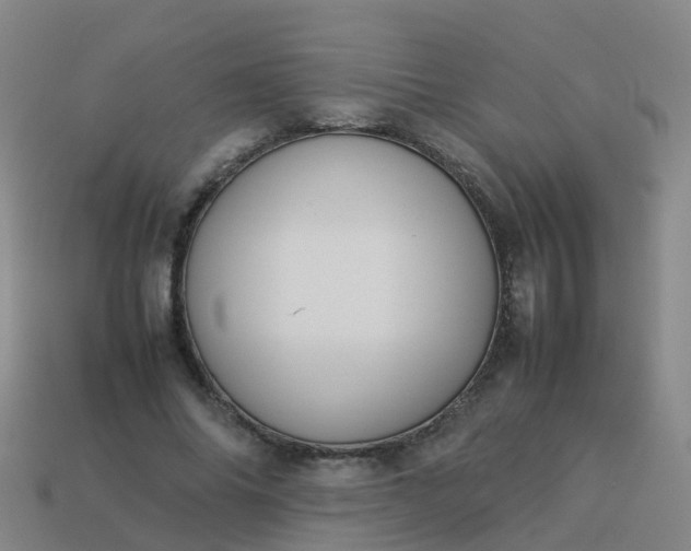 X0000114110686200910191703