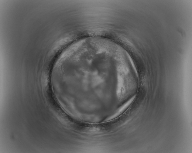 X0000114110687200910191703