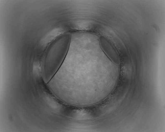 X0000114110688200910191703