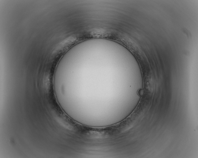 X0000114110690200910191703