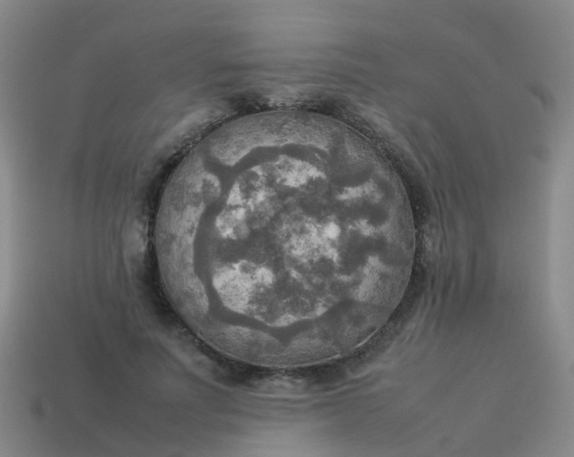 X0000114110691200910191703