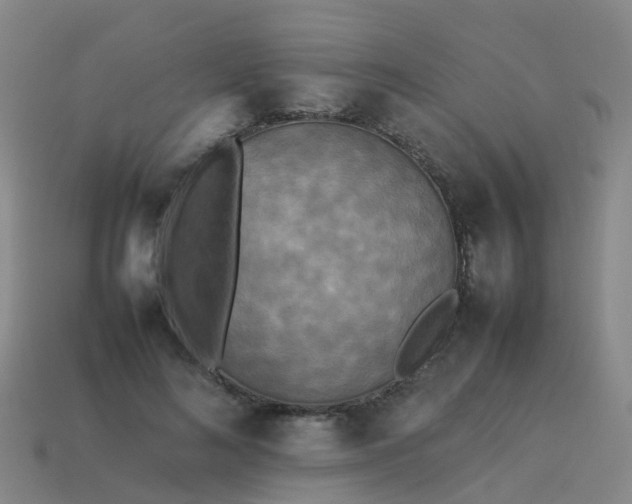 X0000114110692200910191703