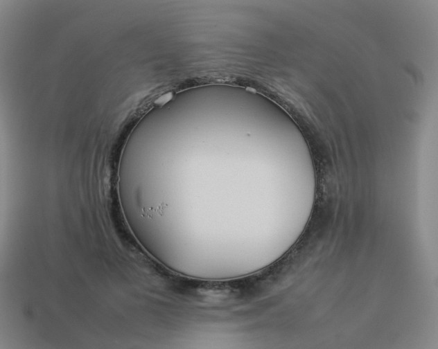 X0000114110693200910191703