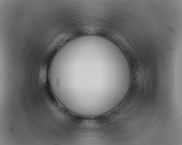 X0000114110694200910191703