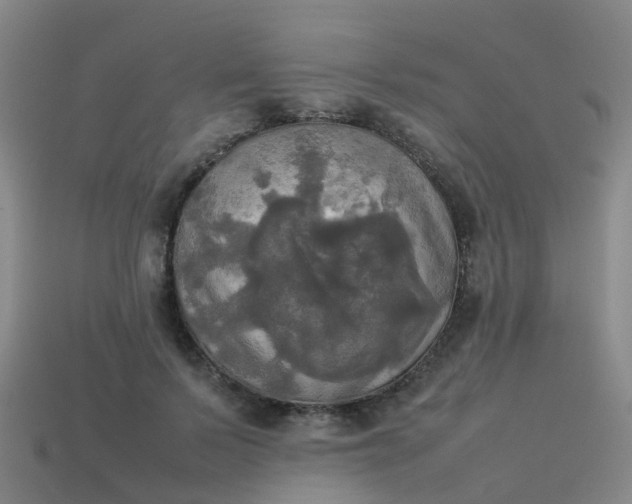 X0000114110695200910191703