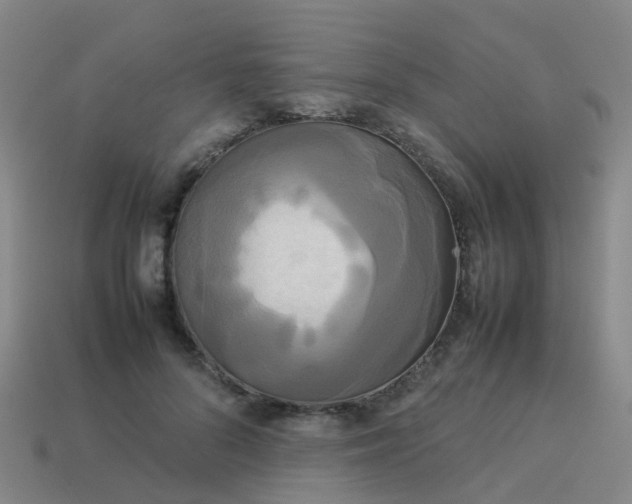 X0000114110696200910191703