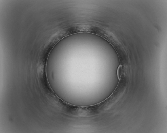 X0000114110697200910191703