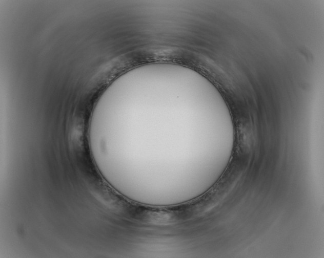 X0000114110698200910191703