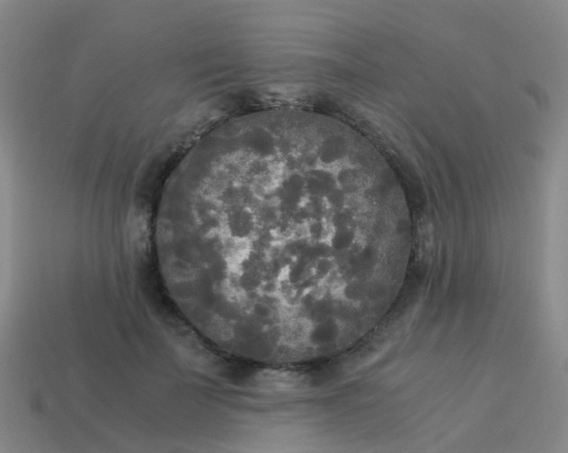 X0000114110699200910191703