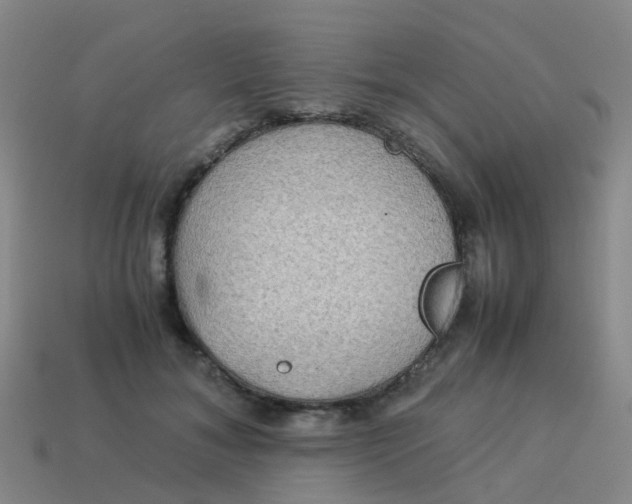 X0000114110700200910191703