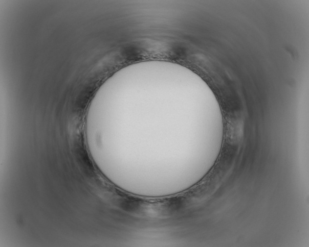 X0000114110701200910191703