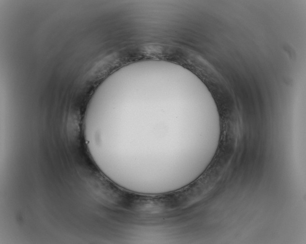 X0000114110702200910191703