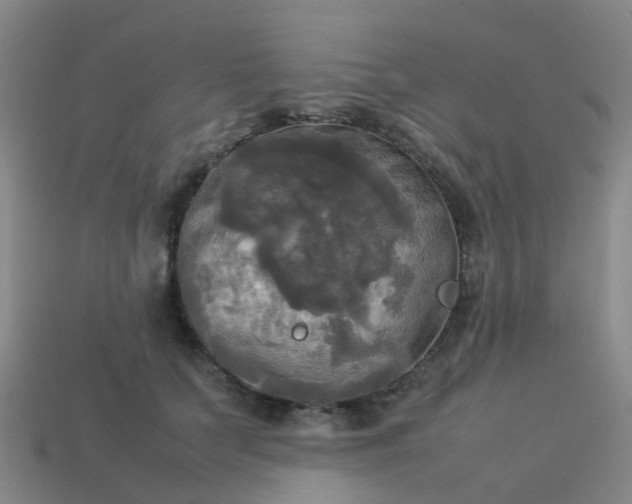 X0000114110703200910191703