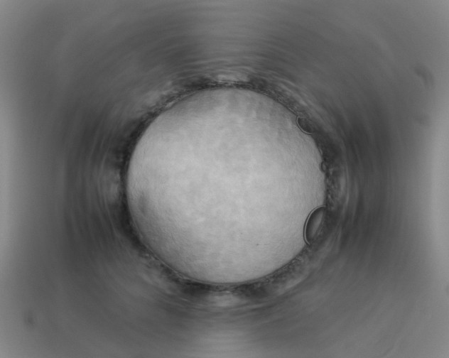 X0000114110704200910191703