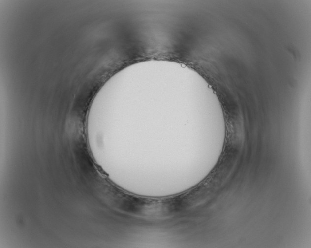 X0000114110705200910191703